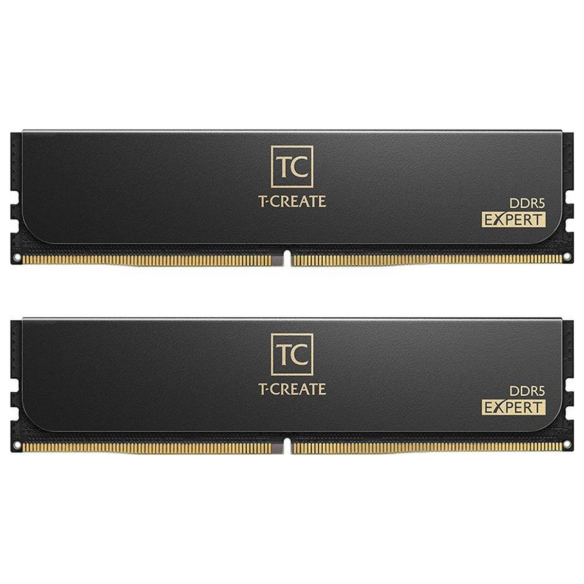 ОЗУ Team 2x32GB 6000 Mhz DDR5 T-Create Expert Overclocking 10L Black (CTCED564G6000HC34BDC01)