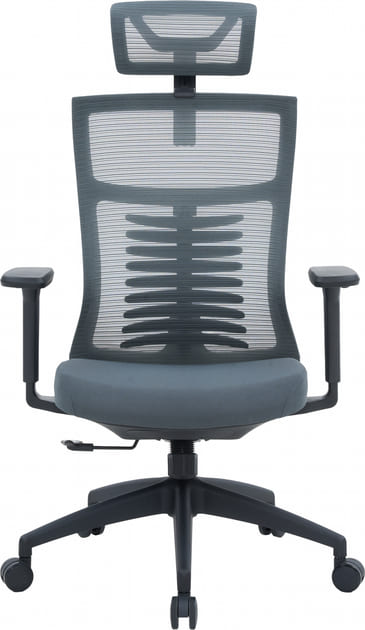 Крісло офісне OfficePro Balance OC550-B-DG-DG