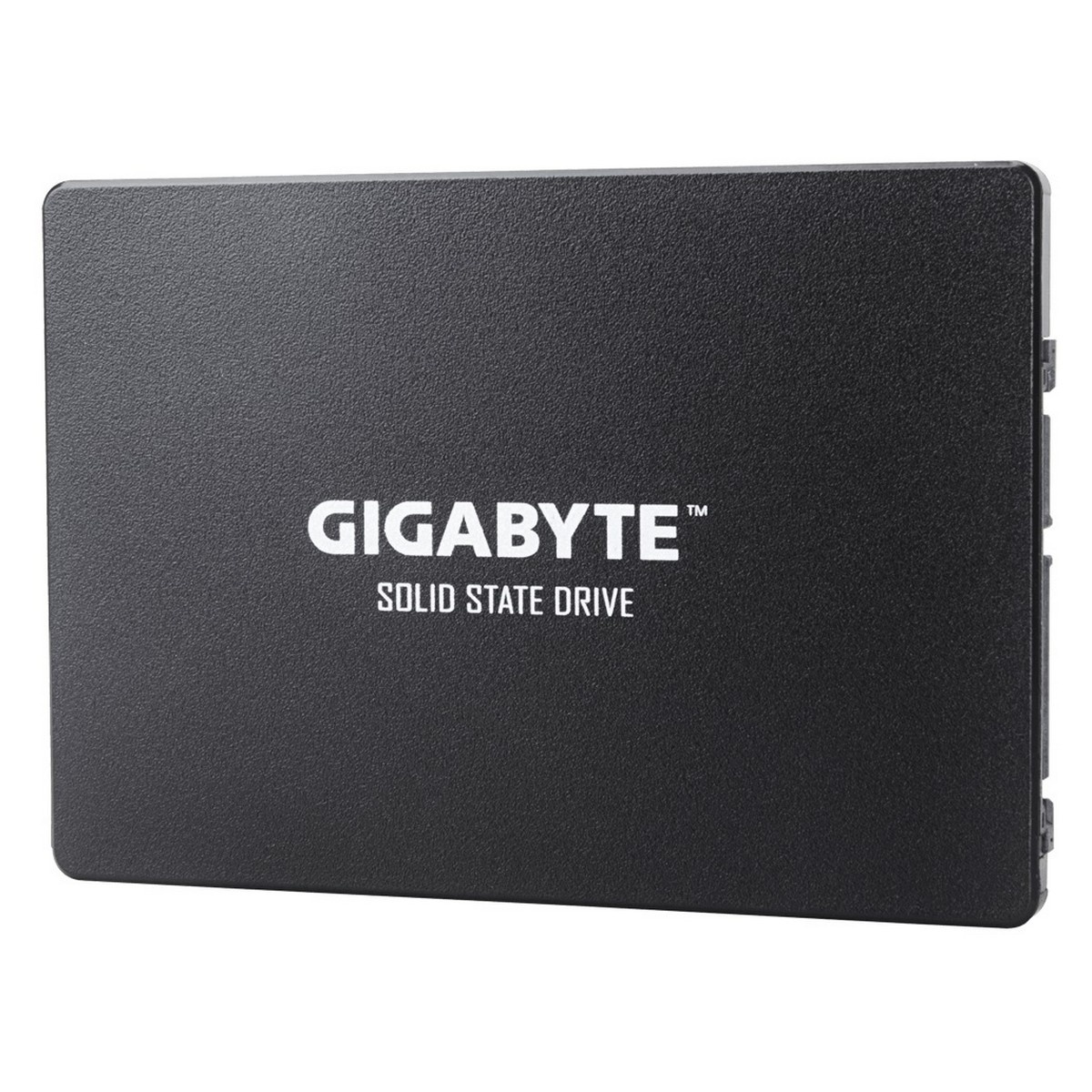 SSD диск Gigabyte GP-GSTFS31240GNTD