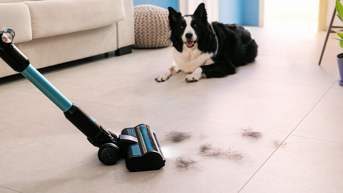 пылесос для уборки с животными пылесос для уборки с животными