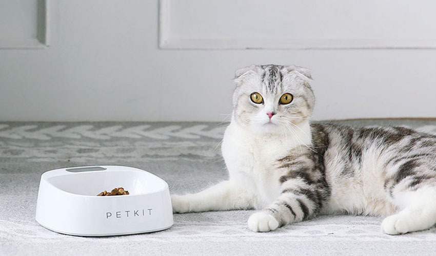 PETKIT Smart Weighing Bowl