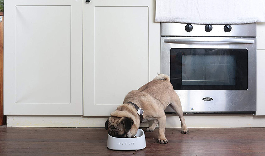 PETKIT Smart Weighing Bowl