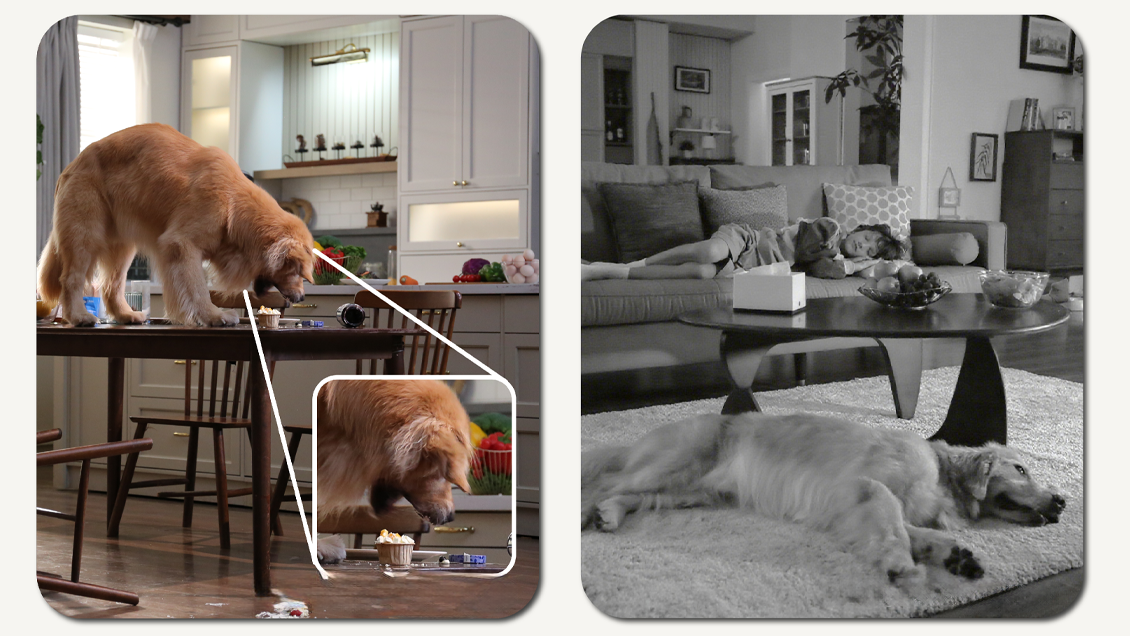 камера видеонаблюдения Dreame