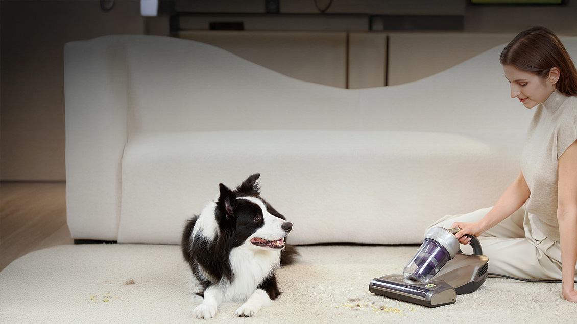 пылесос пылесос