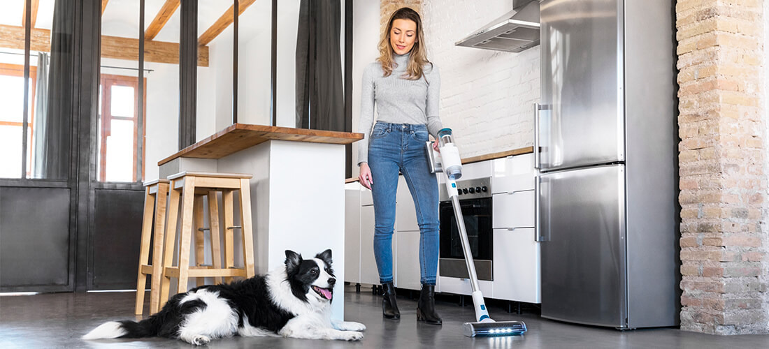 Аккумуляторный пылесос Cecotec Conga RockStar 200 Vital