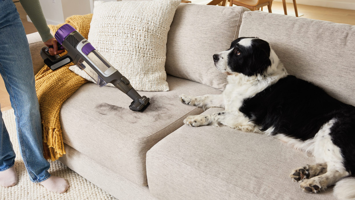 пылесос для уборки шерсти пылесос для уборки шерсти