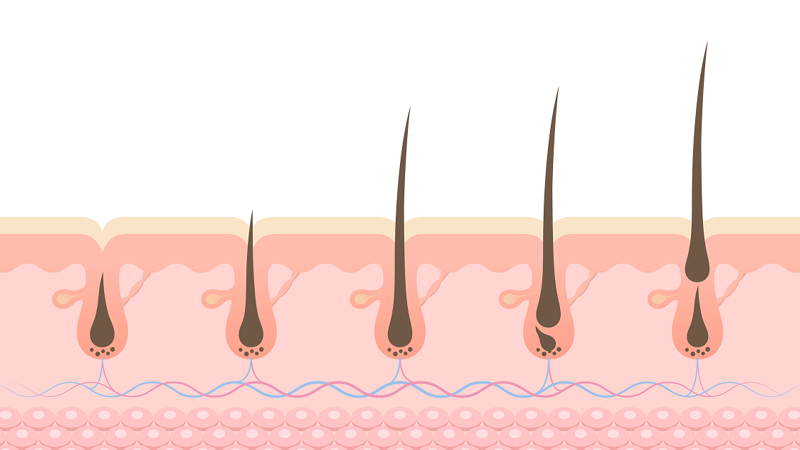 электробритва Dreame