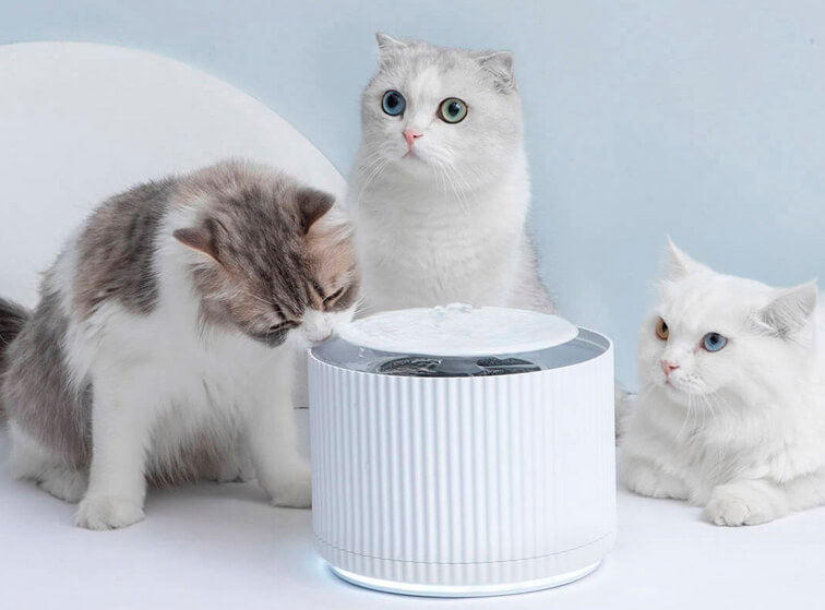 Умная поилка для животных Furrytail Smart Cat Water Dispenser White