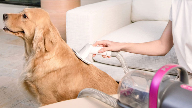 descr img