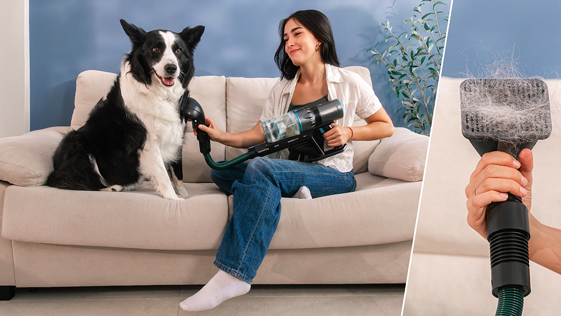 пылесос для уборки с животными пылесос для уборки с животными