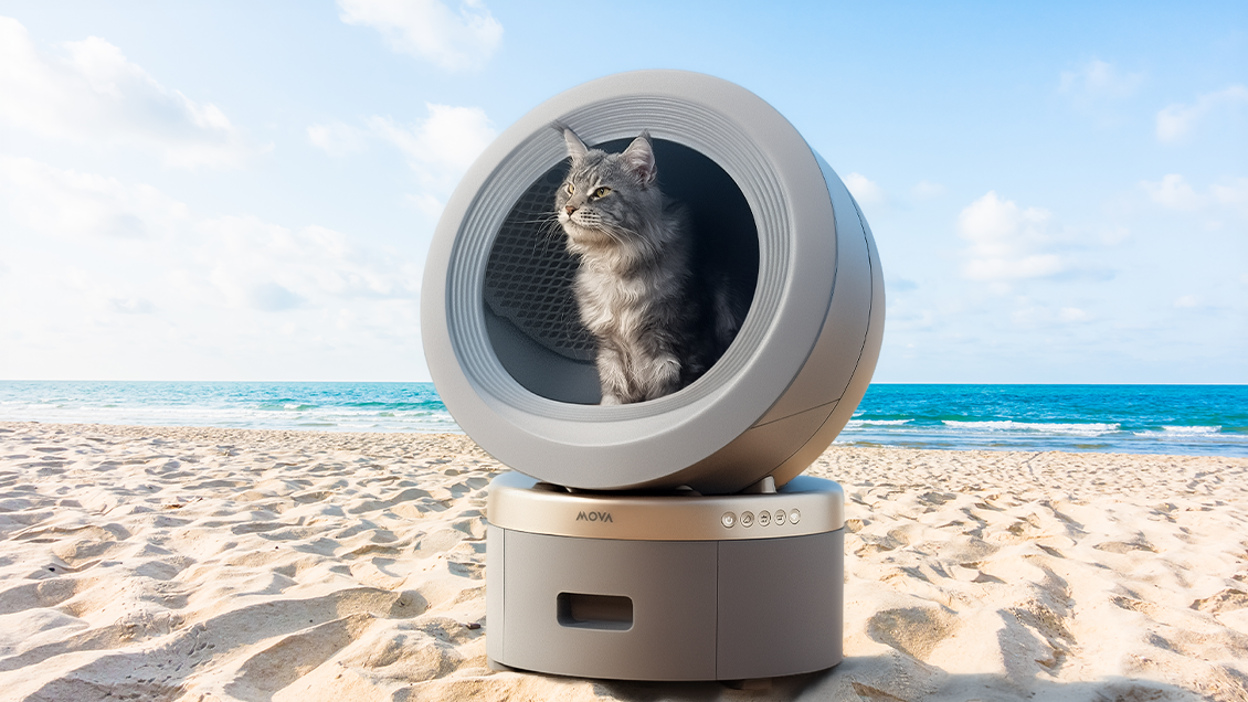 умный туалет для кошек