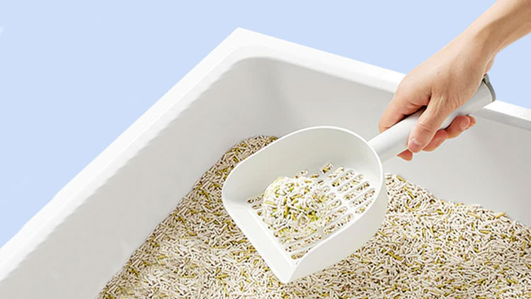 descr img