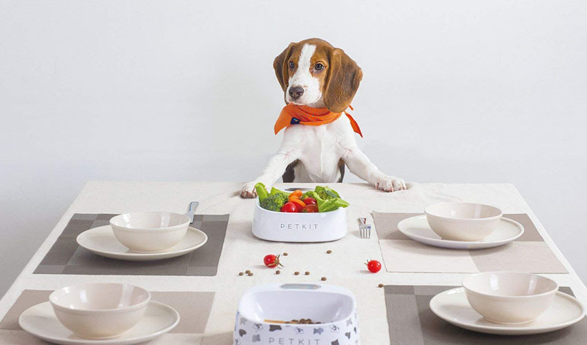 PETKIT Smart Weighing Bowl