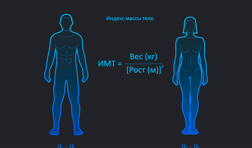 Body composition scale 2 приложение для весов