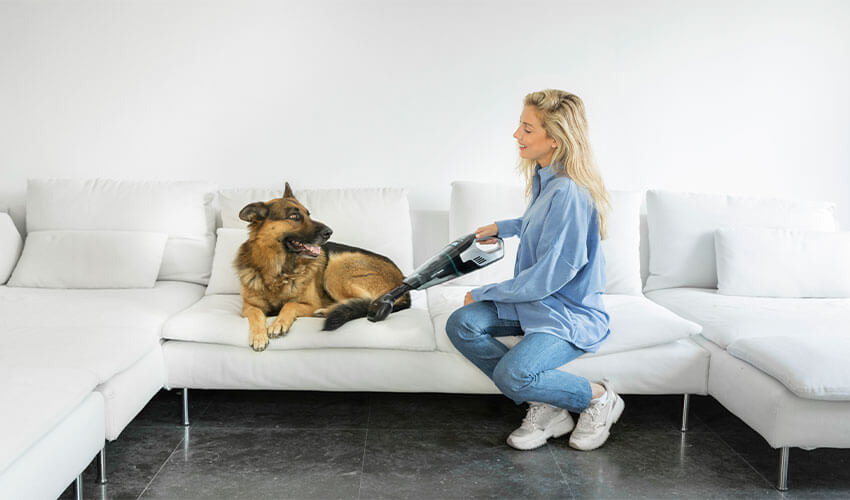 Ручной аккумуляторный пылесос CECOTEC Conga PopStar Micro 18,5V Animal Hand