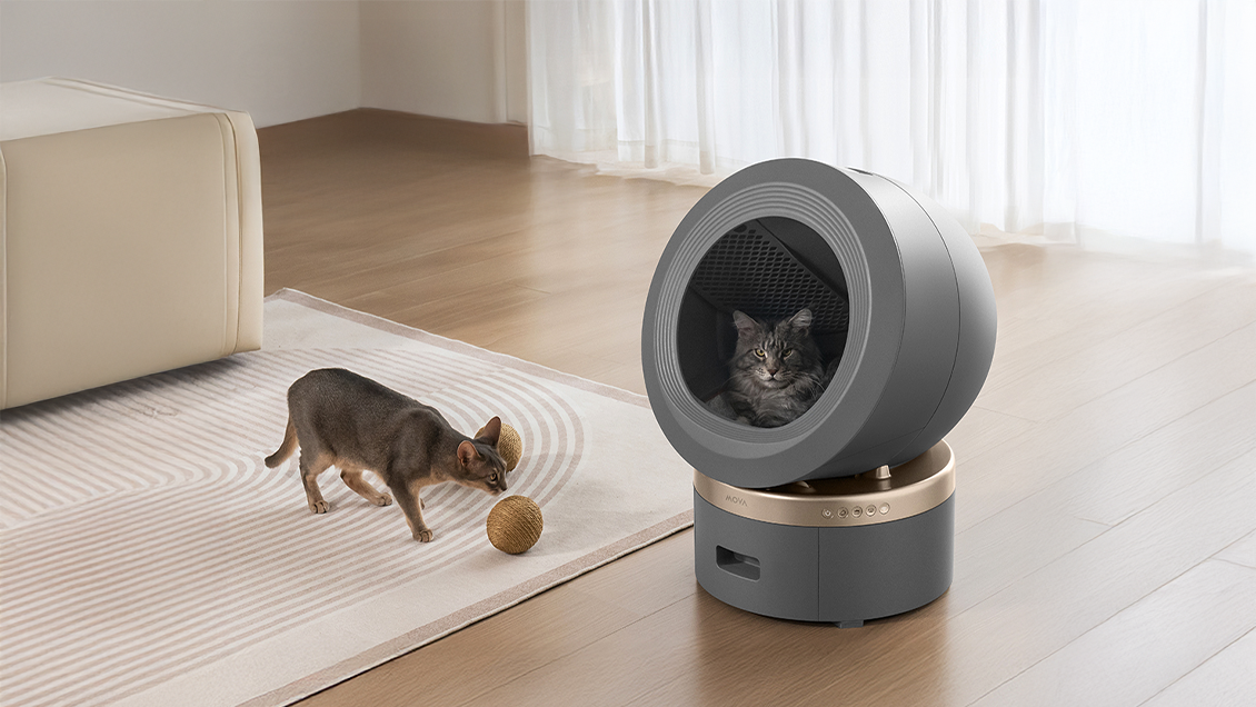 умный туалет для кошек