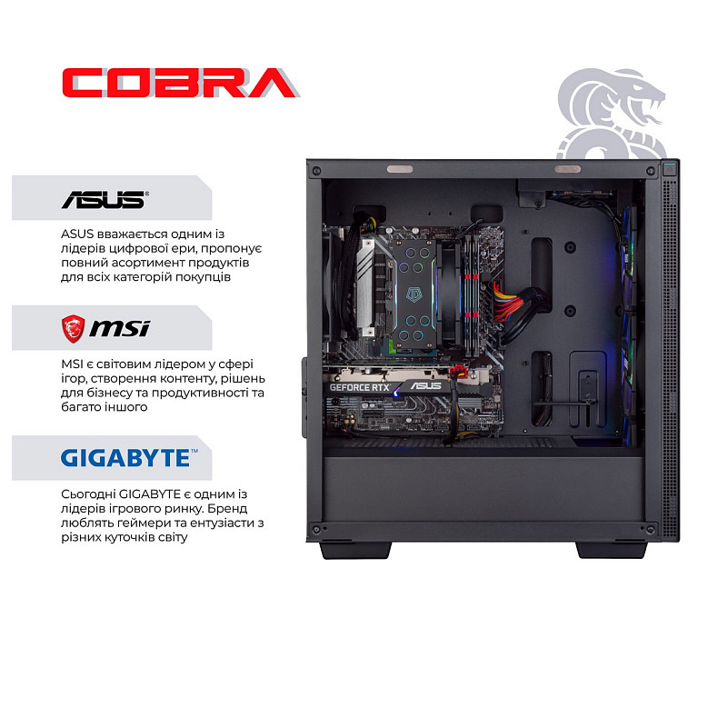 Персональний комп'ютер COBRA Gaming (A76.64.H2S5.46T.17403)