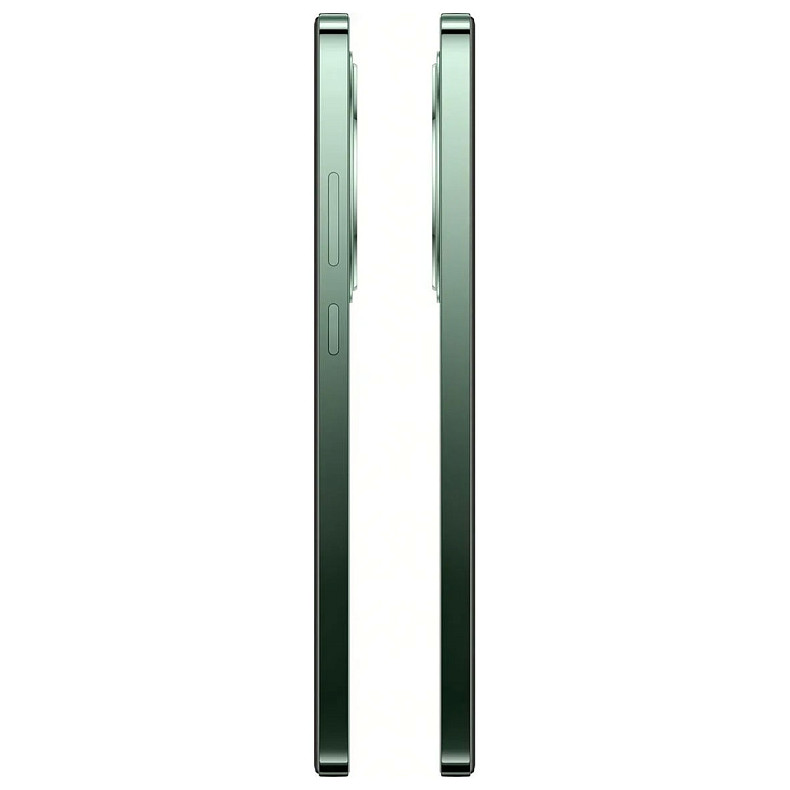 Смартфон Oppo Reno12 F 5G 8/256GB Black Green