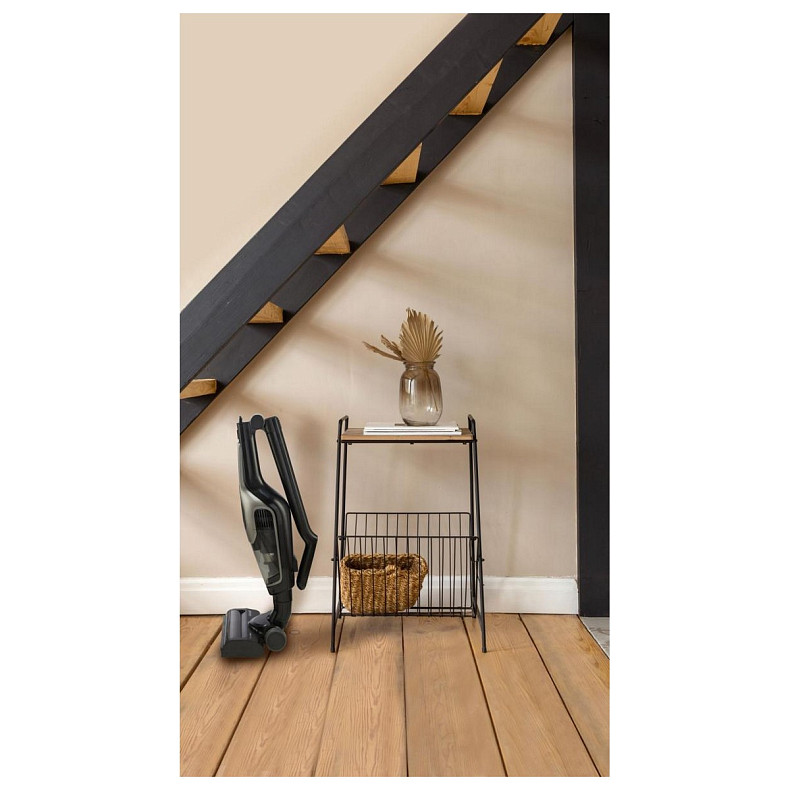 Пылесос Gorenje SVC216110FSIIBKA