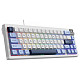 Клавиатура Ajazz AK650 Sea Salt Switch White USB-C (AK650-SS-BWB)