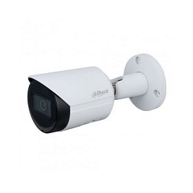 IP-камера Dahua DH-IPC-HFW2230SP-S-S2 (3.6 мм)