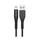Кабель Grand-X USB-Lightning, 1.2м Black (FL-12B)