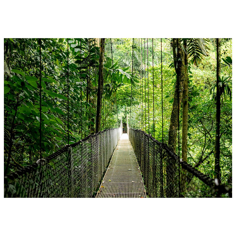 Ноутбук HP Probook 4-G1a 16" WUXGA IPS, AMD R7-250, 32GB, F1TB, UMA, DOS, серебристый