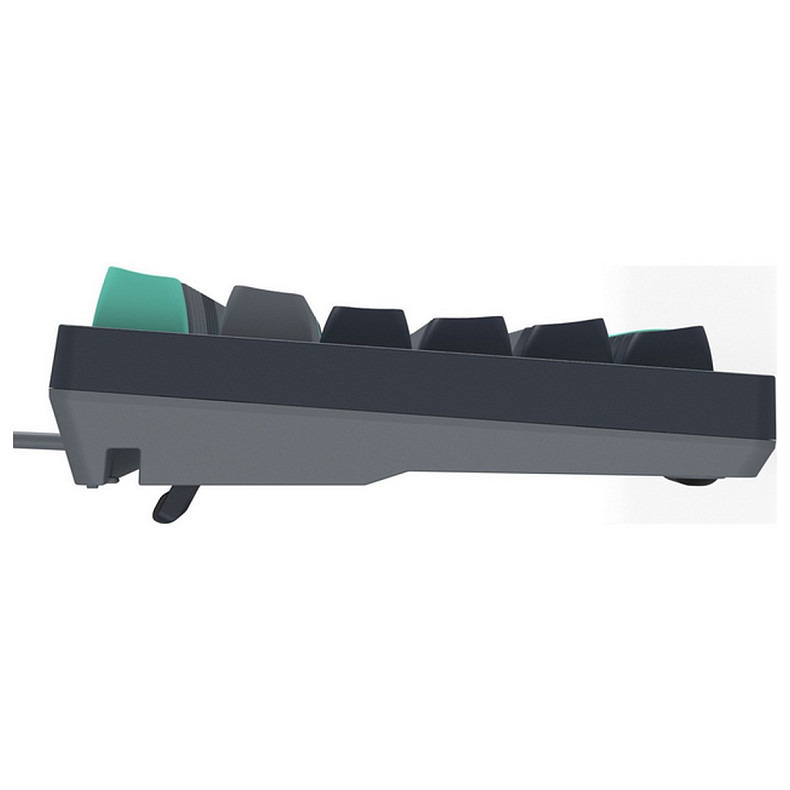 Клавиатура A4Tech Fstyler FS300 Panda Rock Climbing