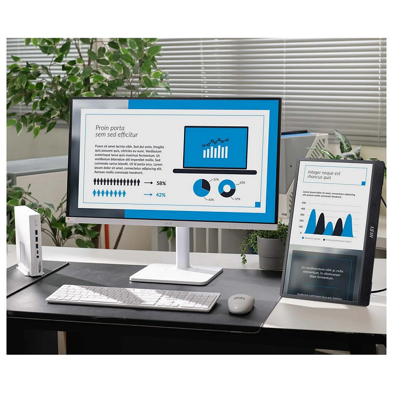 Монітор портативний MSI 15.6" PRO MP161-E2U mHDMI, 2xUSB-C, MM, IPS, Cover