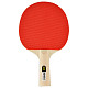 Ракетка для настольного тенниса Joola Beat (52050)