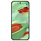 Смартфон Google Pixel 9 12/256Gb Wintergreen