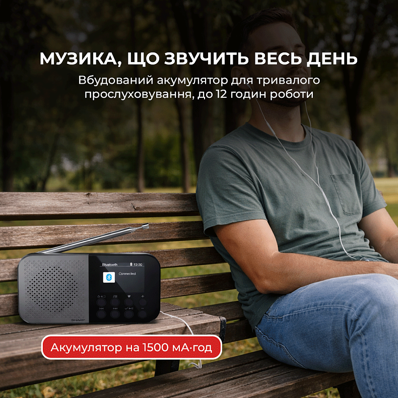 Радіоприймач Sharp DR-P520 Storm Grey