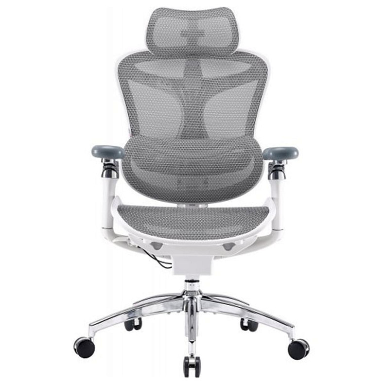 Крісло офісне Sihoo DORO C300 Pro Mesh White