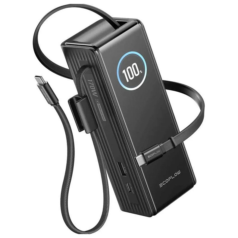 Павербанк EcoFlow RAPID Power Bank с кабелями 25000mAh черный