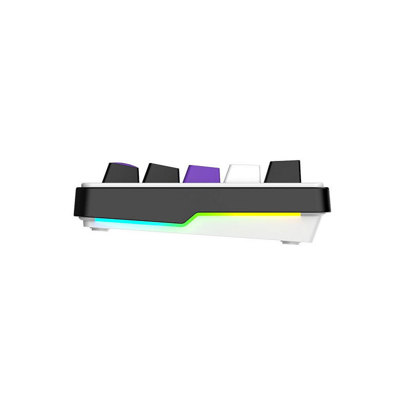 Клавиатура Hator Hellyberry HK60 White/Violet
