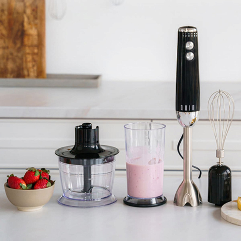 Занурювальний блендер QUIN HB-103