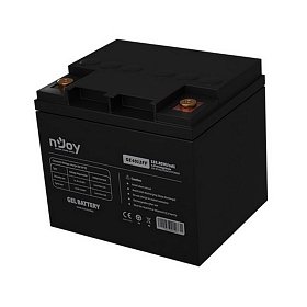 Акумуляторна батарея Njoy GE4012FF 12V 40AH GEL (BTVGCDTOMTCFFCN01B)