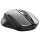 Миша Trust Zaya Wrl Rchrgable Mouse Blk 1600 dpi