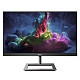 Монитор Philips 23.8" 242E1GAJ/00 VA Black 144Hz