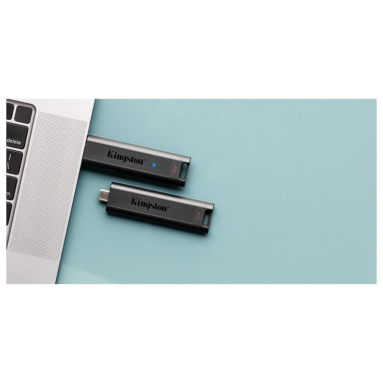 Накопичувач Kingston 256GB USB 3.2 Type-C Gen 2 DT Max