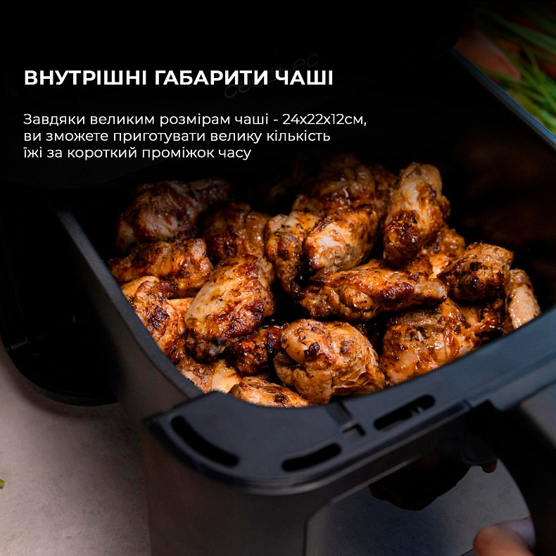 Мультипечь (аэрогриль-фритюрница) CECOTEC Cecofry Experience Window 6000