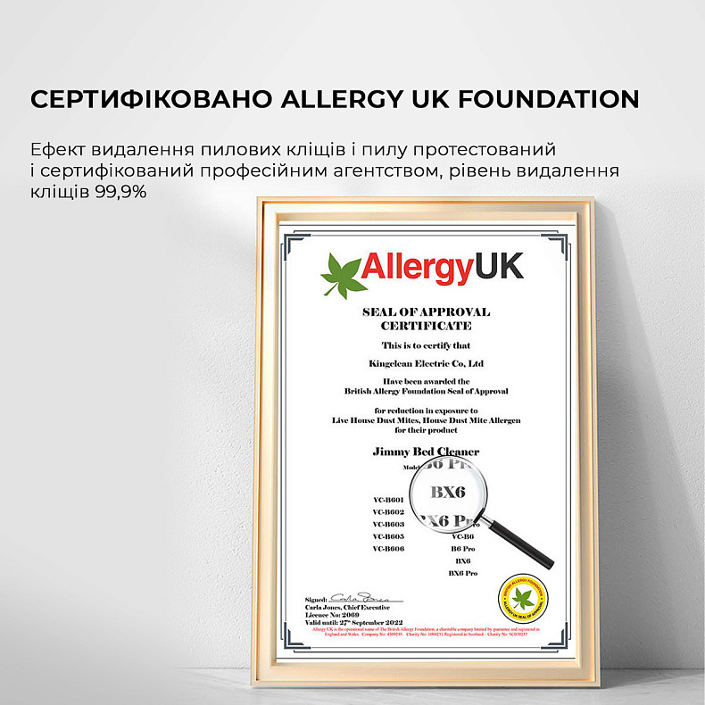 Ручной пылесос JIMMY с УФ-лампой для мягкой мебели (BX6)