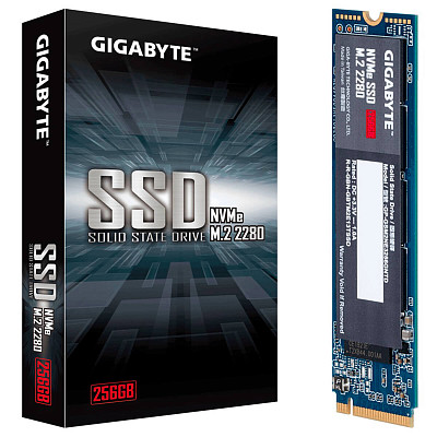 SSD диск Gigabyte GP-GSM2NE3256GNTD