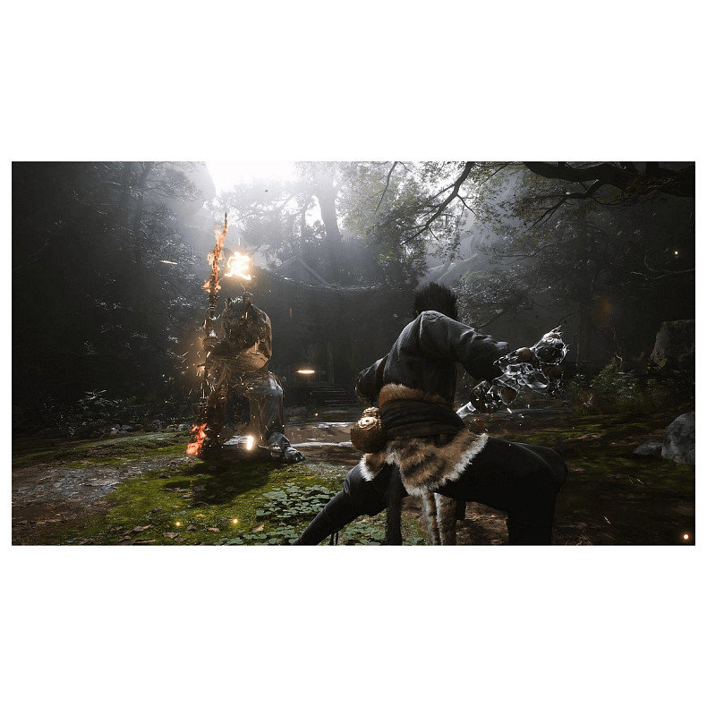 Игра консольная PS5 Black Myth: Wukong