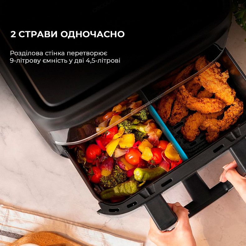 Мультипечь (аэрогриль-фритюрница) CECOTEC Cecofry Dual 9000 CCTC-04996