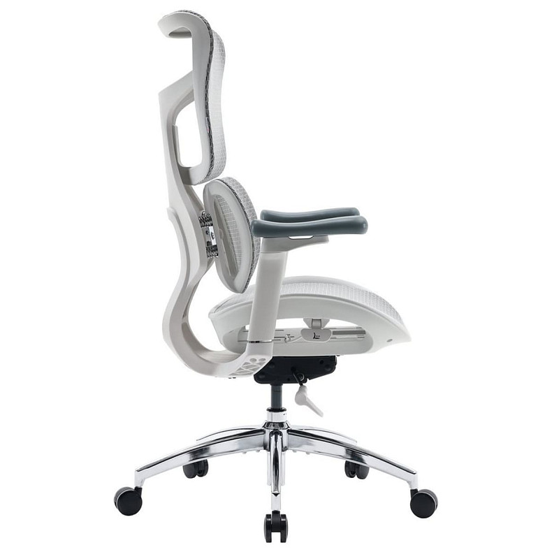 Крісло офісне Sihoo DORO S100 Mesh White