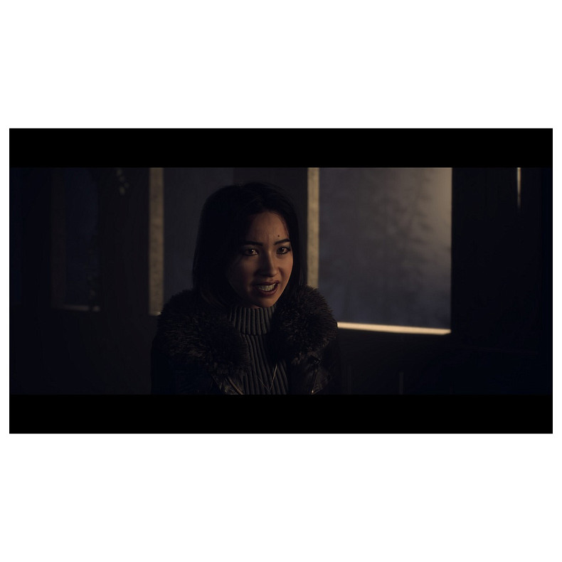 Гра консольна PS5 UNTIL DAWN