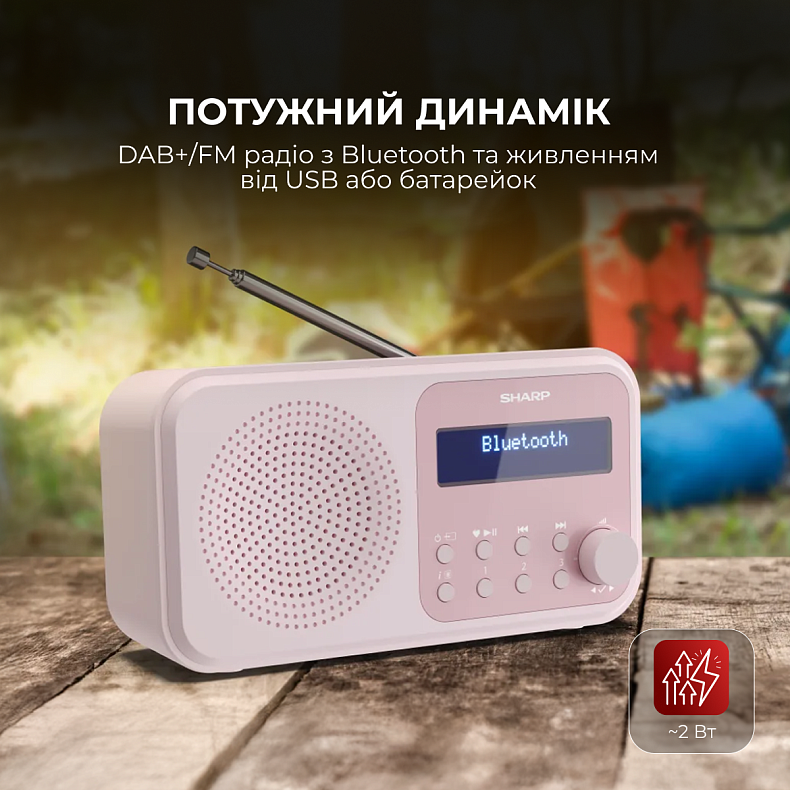 Радіоприймач Sharp DR-P420 Pink
