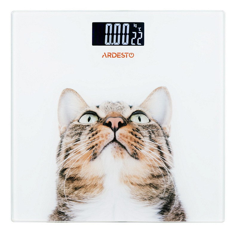 Ваги підлогові Ardesto SCB-965CAT