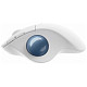 Мышка Bluetooth Logitech Ergo M575 USB White (910-005870)